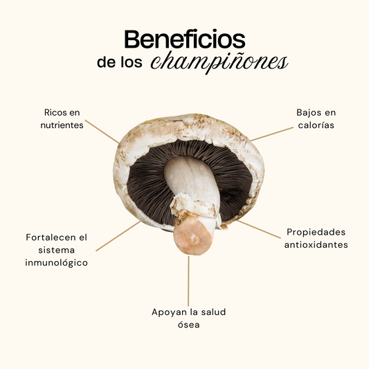 ¡10 Razones por las que los Champiñones Son el Superalimento que Necesitas en tu Vida! 🍄✨