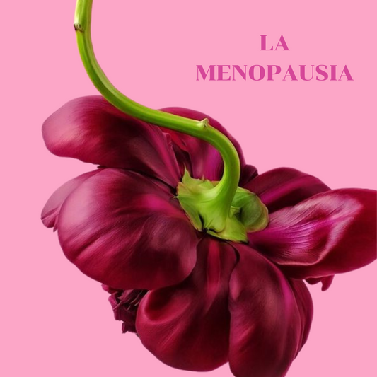 Menopausia: La Verdad Detrás del Tabú y Cómo Enfrentarla con Estilo 🌟