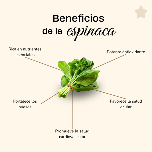 Los 5 Grandes Beneficios de Incluir Espinaca en Tu Dieta 🥗🌿