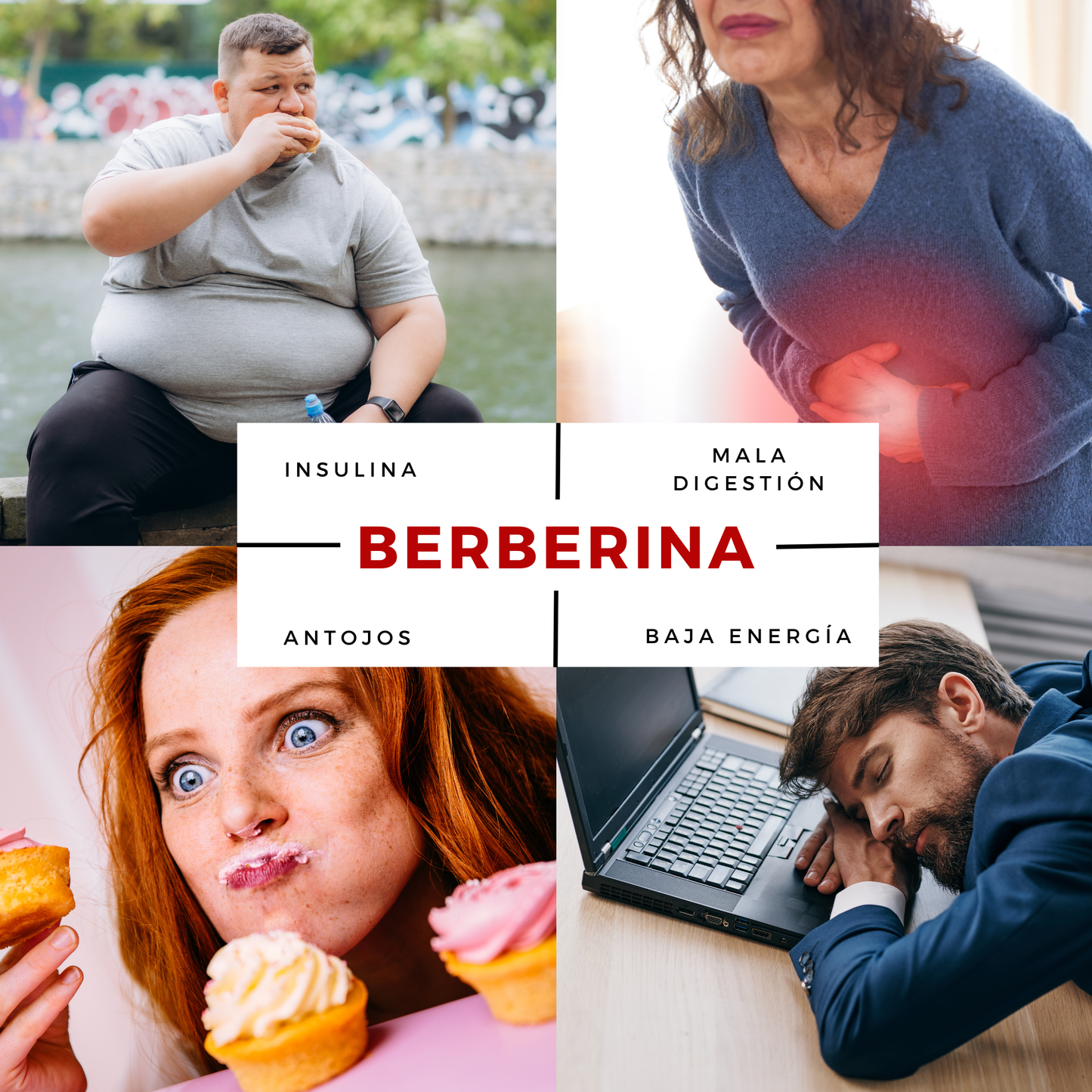Berberina PRO 1000