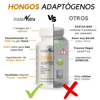 Hongos Adaptógenos 5 en 1 – Reishi, Cordyceps, Melena de León, Maitake y Shiitake – 90 Cápsulas