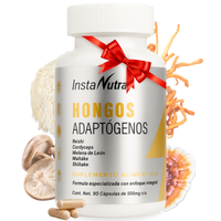 Hongos Adaptógenos 5 en 1 – Reishi, Cordyceps, Melena de León, Maitake y Shiitake – 90 Cápsulas
