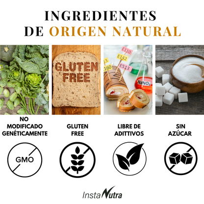 Hongos Adaptógenos 5 en 1 – Reishi, Cordyceps, Melena de León, Maitake y Shiitake – 90 Cápsulas