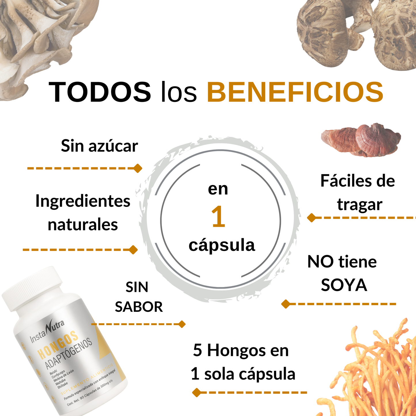 HONGOS ADAPTÓGENOS