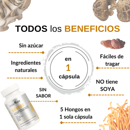 Hongos Adaptógenos 5 en 1 – Reishi, Cordyceps, Melena de León, Maitake y Shiitake – 90 Cápsulas