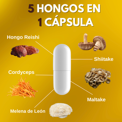 Hongos Adaptógenos 5 en 1 – Reishi, Cordyceps, Melena de León, Maitake y Shiitake – 90 Cápsulas