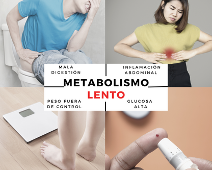 MetaBoost – Vinagre de Manzana con Cúrcuma, Jengibre, Canela y Cromo – 180 Cápsulas Sin Sabor